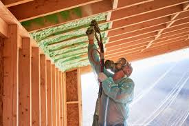 Best Eco-Friendly or Green Insulation Solutions  in Cudahy, WI